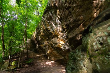 Kanyon duvarları ve ağaçları