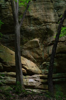 Kanyon duvarlarında güneş ışığı