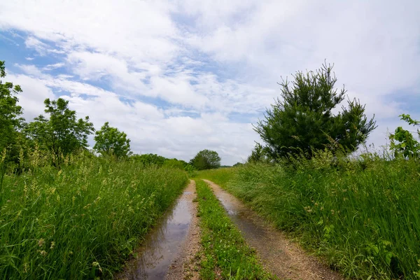 Grusväg genom landsbygden — Stockfoto