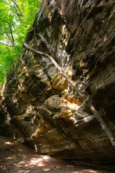 Kanyon falak és fák — Stock Fotó