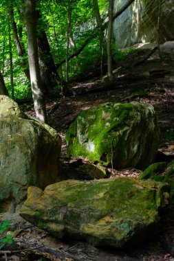 Kanyon kayalıcılar