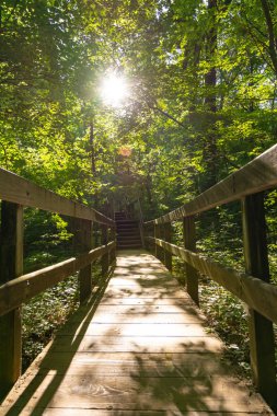 Güneş aydınlatılmış ahşap geçit