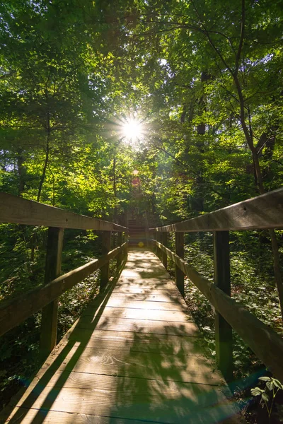 Passerella in legno illuminata dal sole — Foto Stock