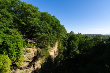 Yaban Kedisi Kanyonu