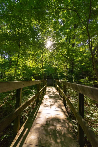 Passerella in legno illuminata dal sole — Foto Stock