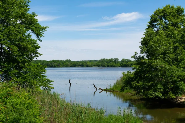 Utsikt över floden — Stockfoto