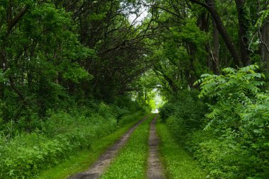 Wauponsee Buzul Trai