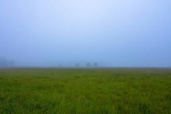Foggy morning in Midewin — Stock Photo, Image