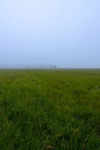 Foggy morning in Midewin — Stock Photo, Image