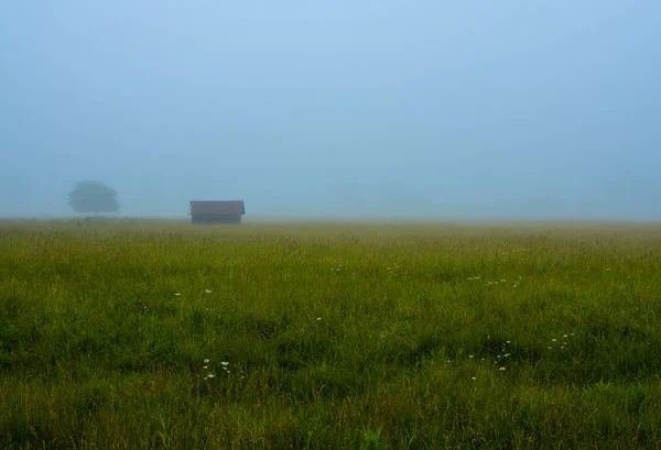 Fog on the prairie — Stock Photo, Image