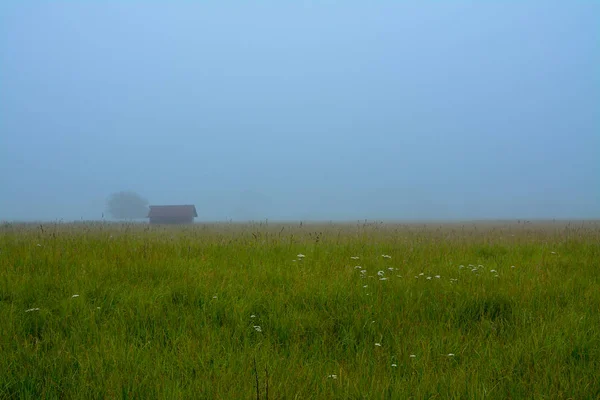 Fog on the prairie — Stock Photo, Image