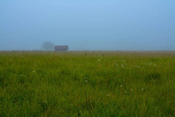 Fog on the prairie — Stock Photo, Image
