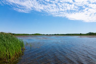 Richard Bong Devlet Rekreasyon Alanı Gölü