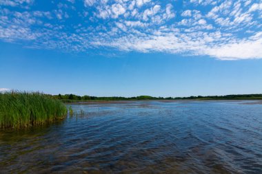 Richard Bong Devlet Rekreasyon Alanı Gölü