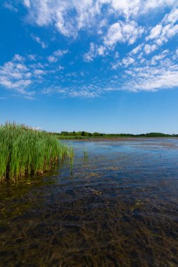 Richard Bong Devlet Rekreasyon Alanı Gölü