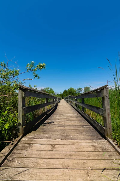 Pasarela de madera — Foto de Stock