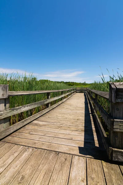 Passerelle en bois — Photo