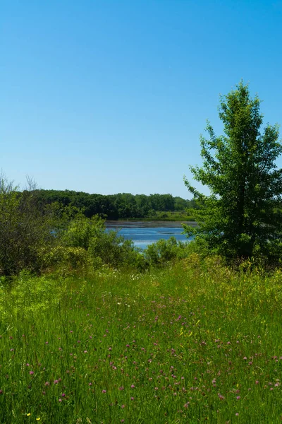 Sommerlandschaft — Stockfoto