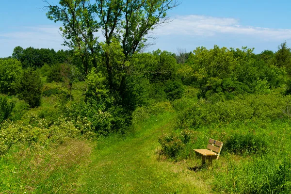 Summer landscape — Stock Photo, Image