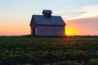 gün batımında eski ahır
