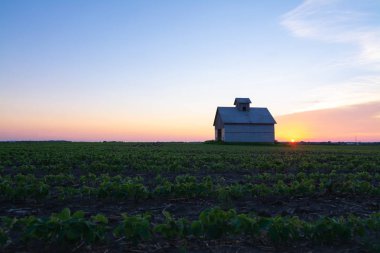 gün batımında eski ahır