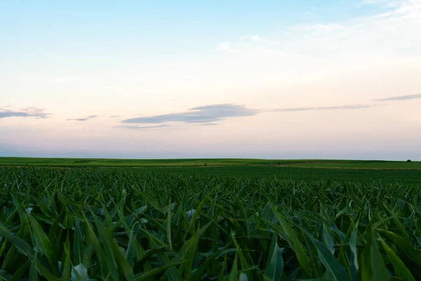 Puesta de sol en Illinois rural — Foto de Stock