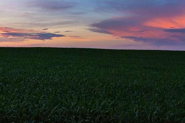 Dusk i landdistrikterne Illinois - Stock-foto