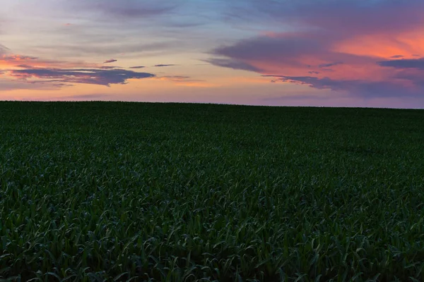 Закат в сельской местности Иллинойса — стоковое фото