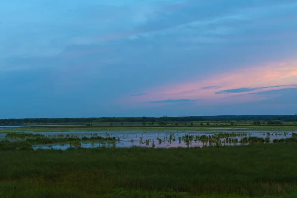 Sonnenaufgang bei dixon waterbirds refudge — Stockfoto