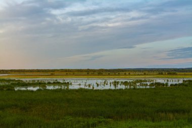 Dixon Waterfowl sığınma evinde gündoğumu
