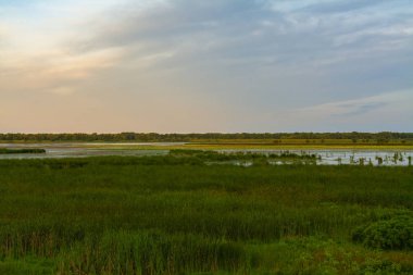 Dixon Waterfowl sığınma evinde gündoğumu