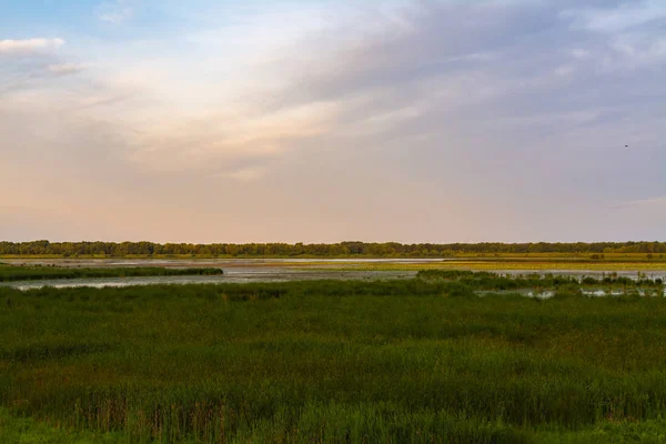 Sonnenaufgang bei dixon waterbirds refudge — Stockfoto