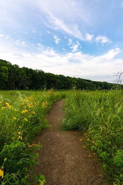 Dirt path at sunrise — Stock Photo, Image