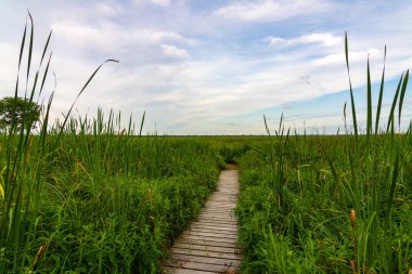 Güneşin doğuşunda ahşap yol
