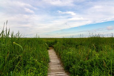 Güneşin doğuşunda ahşap yol
