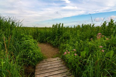 Güneşin doğuşunda ahşap yol