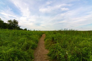 Güneşin doğuşunda kir yolu