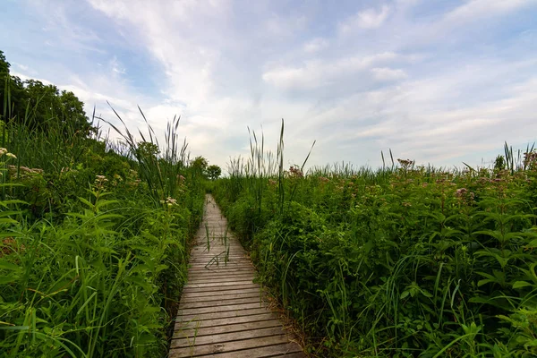 Güneşin doğuşunda ahşap yol
