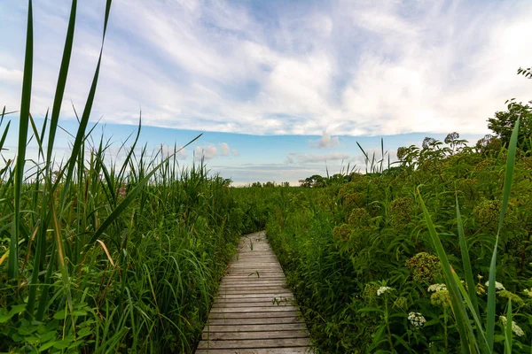 Güneşin doğuşunda ahşap yol