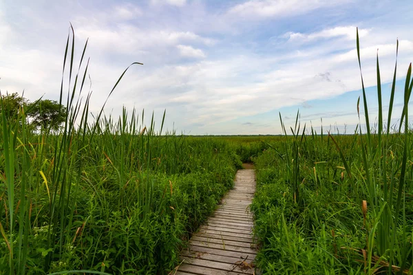 Güneşin doğuşunda ahşap yol