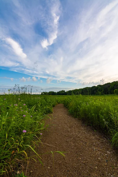 Dirt path at sunrise — Stock Photo, Image