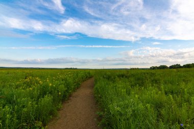 Güneşin doğuşunda kir yolu