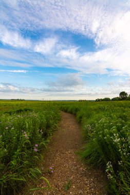 Güneşin doğuşunda kir yolu