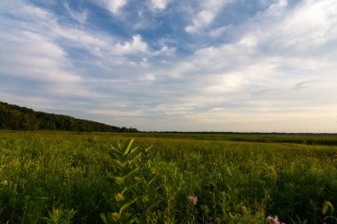 Gün batımında sulak alanlar