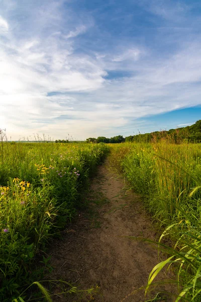 Chemin de terre au coucher du soleil — Photo