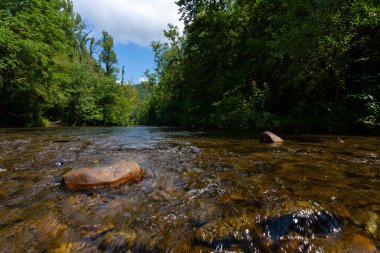 Abrams creek