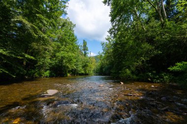 Abrams creek