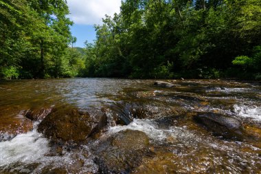 Abrams creek