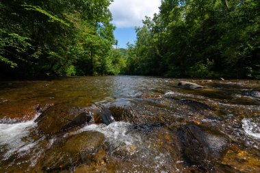 Abrams creek