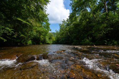 Abrams creek